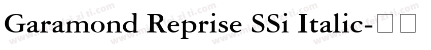 Garamond Reprise SSi Italic字体转换